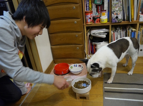 「うさ」にごはんをあげる恵太君