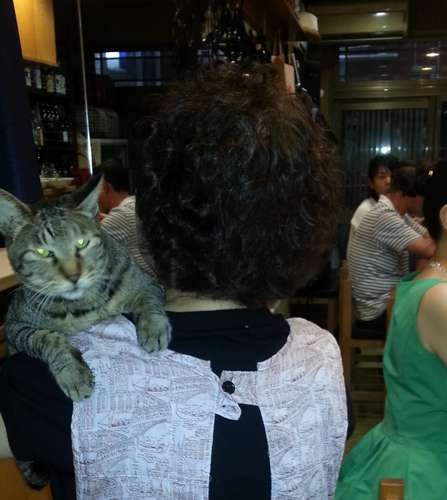 女将さんにおぶわれる、ちま=てまり