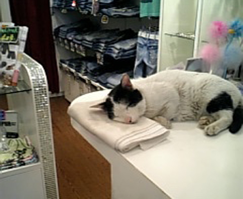 ギャル服の店に通っていた豆太郎(06年頃)