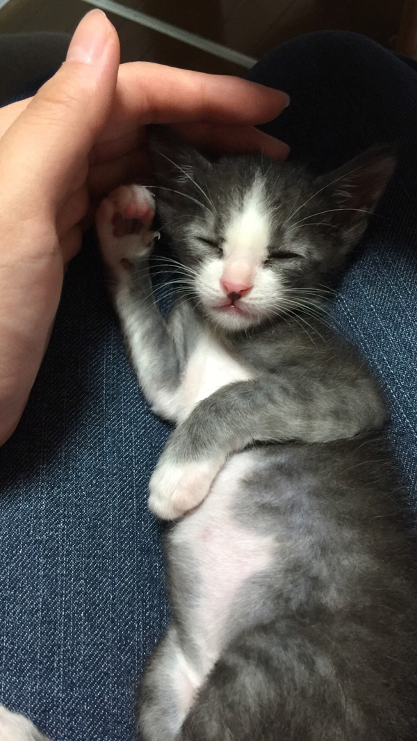 幼い頃に膝の上で。キュートな姿に家族はメロメロ