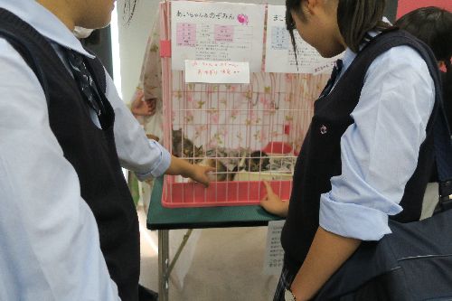 女子高生に囲まれる「はっぴー」たち