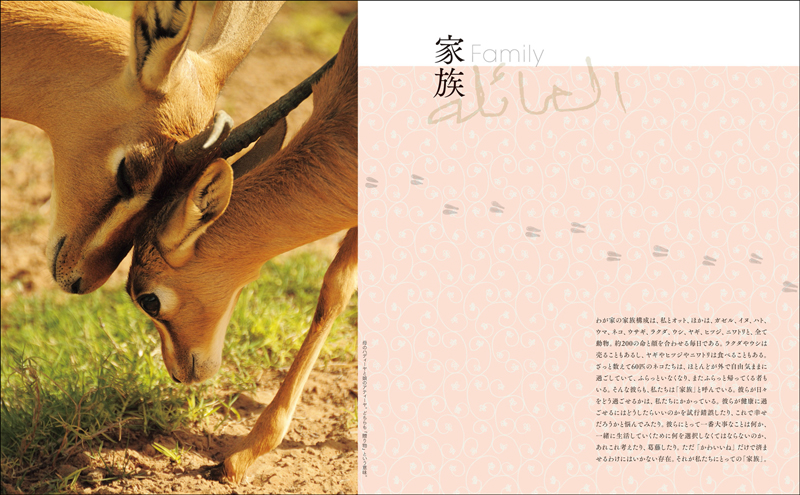 「Life in the Desert 砂漠に棲む」(玄光社)より