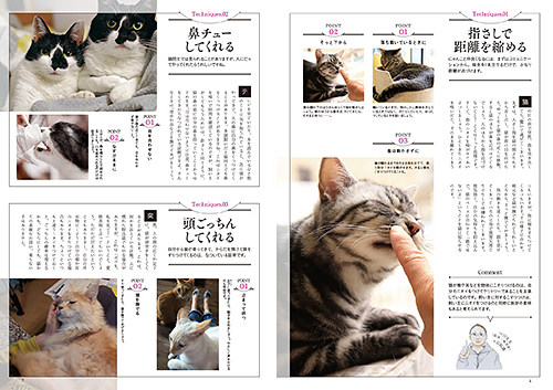 『猫とLOVE LOVE 気まぐれ猫になついてもらう秘密の方法』(宝島社)から