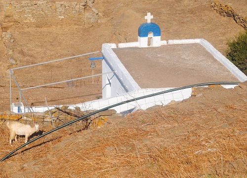 白と水色の教会、乾いた土地というギリシャらしさ満点の背景をしょってこっちを見つめるヤギ(ティノス島)