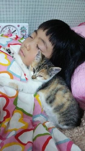 就寝中の渚美ちゃんに寄り添う「ぐみ」ちゃん(亜子さん撮影)