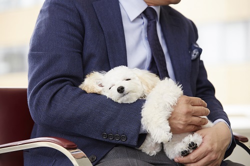 腕の中は安心スポット