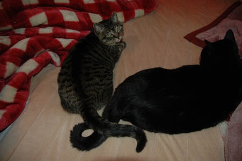 結局は仲良くなりました