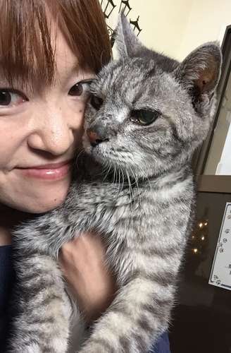 高橋さんとトラ