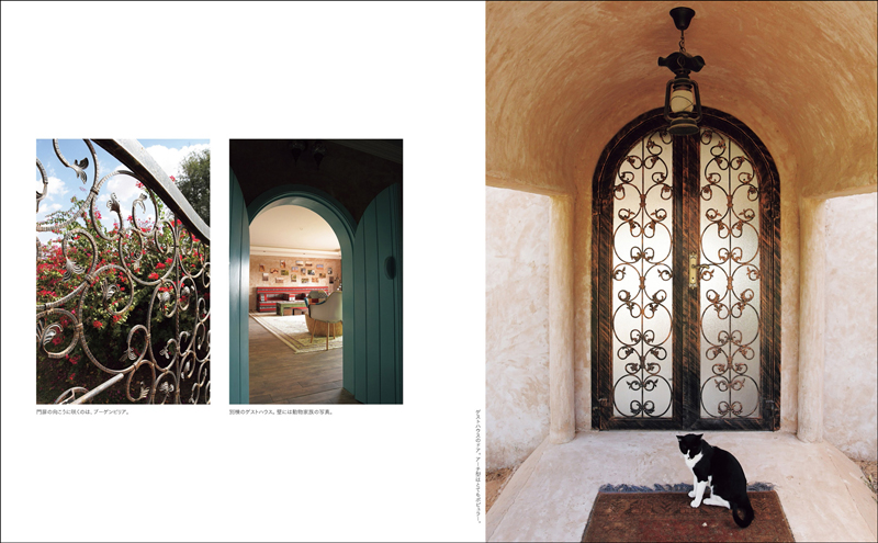 「Life in the Desert 砂漠に棲む」(玄光社)より