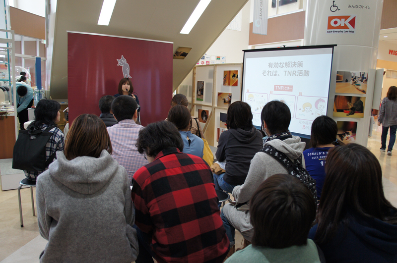 保護猫について知るためのセミナーも開催