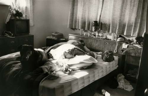 死が近づいてからも、犬と猫はいつもジェニーのそばに寄り添っていた。ジェニーはこの後、29歳で亡くなった=1996年撮影(c)大塚敦子