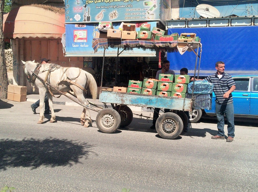 果物を売るおじさん。馬で運んでます