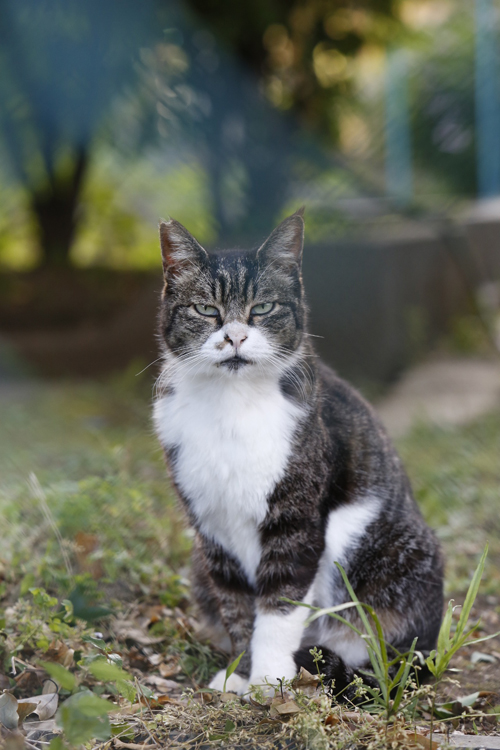 写真/山田裕之、徳永徹