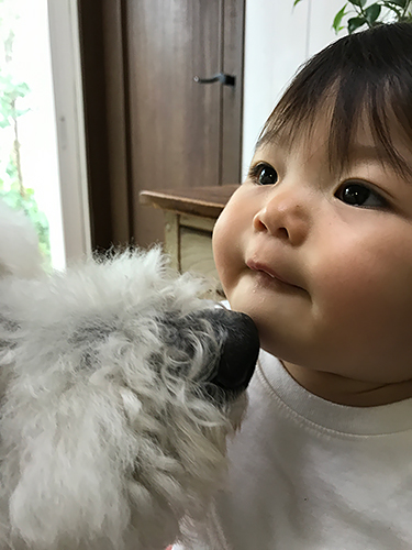 「大きなボク、小さなわたし」から