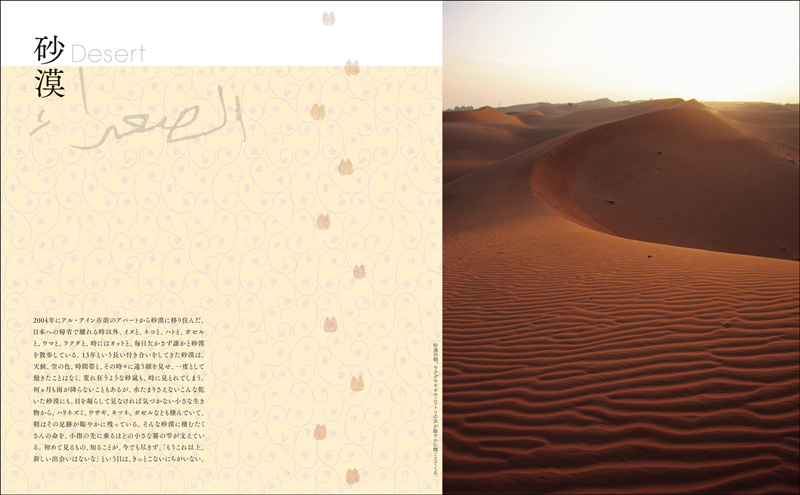 「Life in the Desert 砂漠に棲む」(玄光社)より