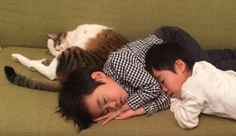 ソファで皆で寝てしまうことも