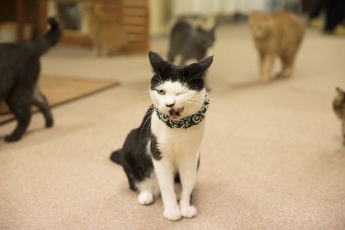 五十嵐健太 撮影