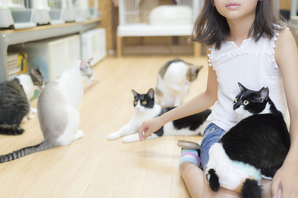 写真/山田裕之、徳永徹