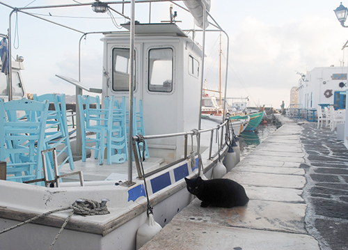 「この船には魚はいないみたい、椅子積んであるし…」(パロス島・ナウサ)