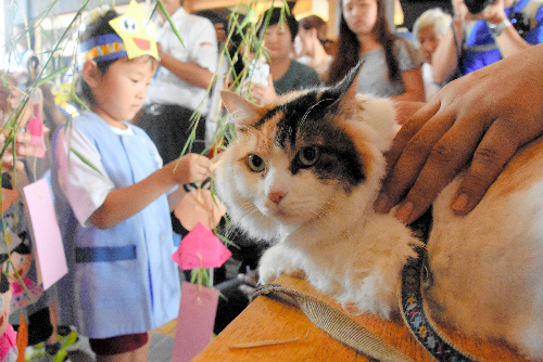 七夕の飾り付けをする園児とニタマ=4日、和歌山県紀の川市貴志川町