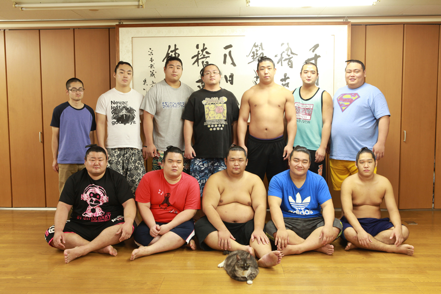 「荒汐部屋のすもうねこ モルとムギと12人の力士たち」(平凡社)より