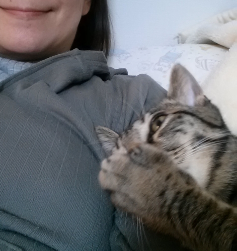 やめられない、とまらない