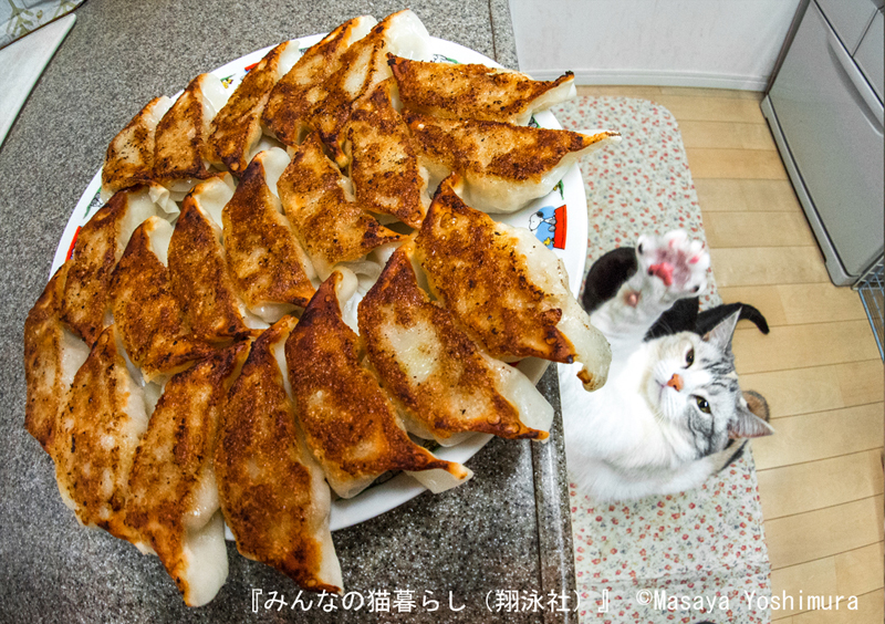 できたての餃子を狙うシラス=吉村正也さん撮影(翔泳社提供)