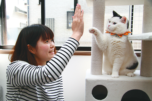 ハイタッチ!だってできちゃう