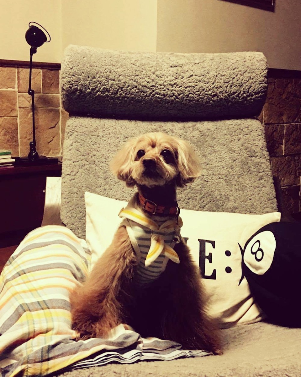 「このイス、座り心地サイコー!」。誰よりも満喫してるやん(笑)。