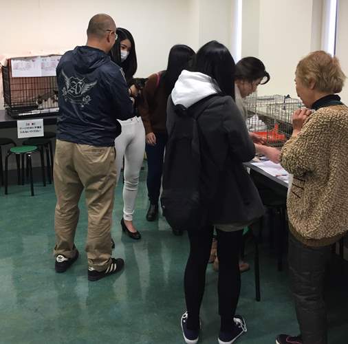 昨年12月の譲渡会の様子 提供=(公財)日本動物愛護協会