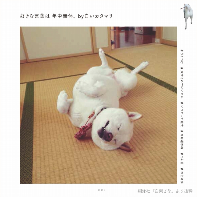 「白柴さな。」(翔泳社)から