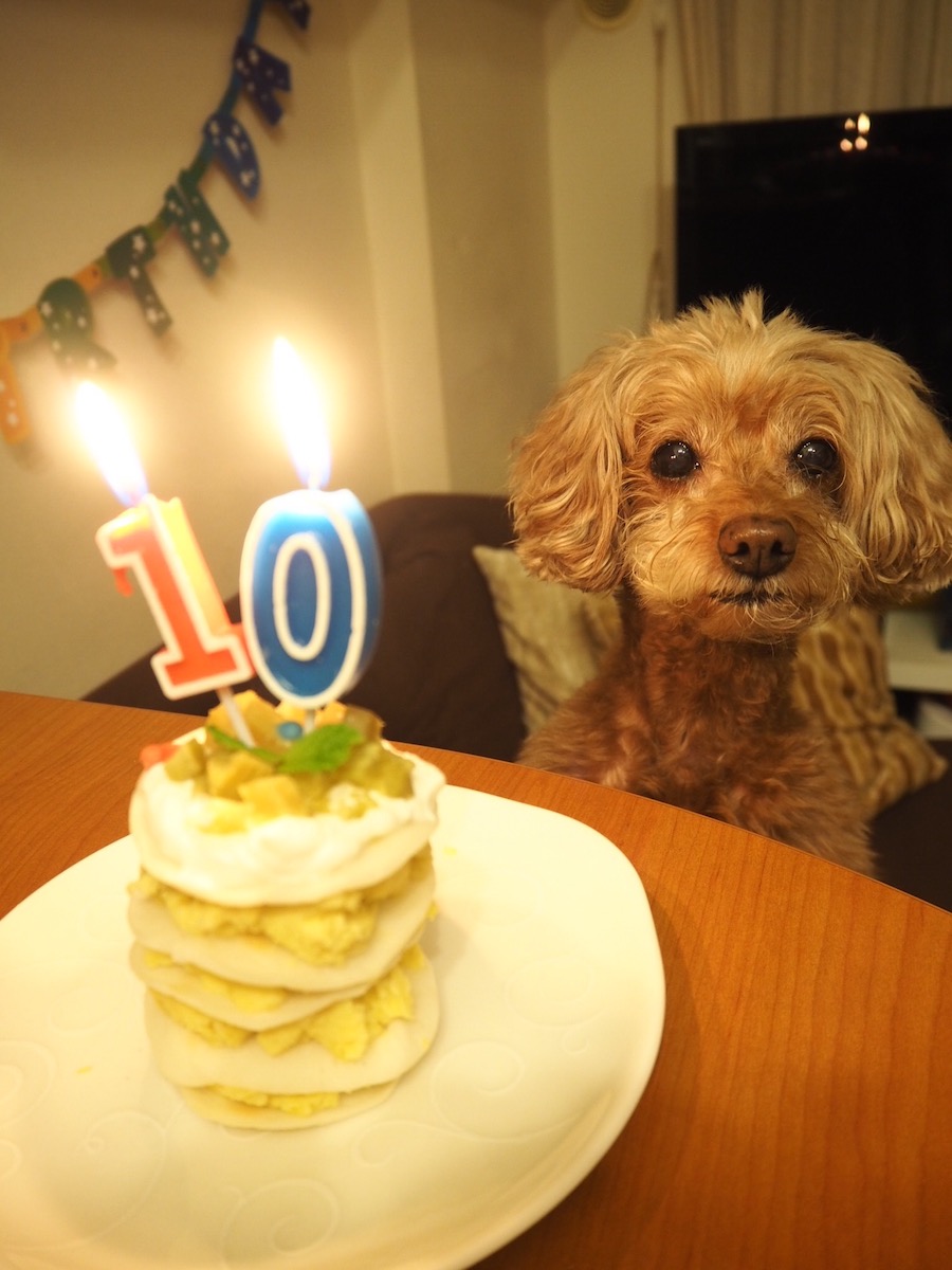 祝10歳! 手作りケーキでお祝い。