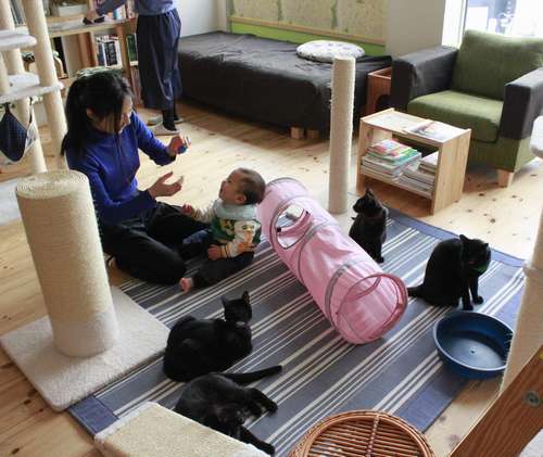 約10坪の店内は、広いリビングのよう。子連れでも安心して過ごせる居心地の良さ