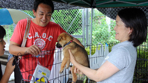熊本県動物管理センターに収容され、飼い主候補と顔合わせをする子犬=3日、熊本市東区