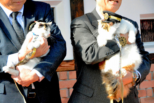 見つめ合う「よんたま」(左)と「ニタマ」=いずれも和歌山県紀の川市貴志川町