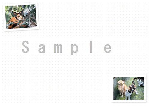 『ねこ手帳 2018』サンプル