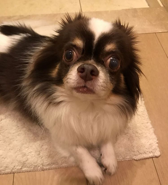 その葉っぱを、ぼくにもください