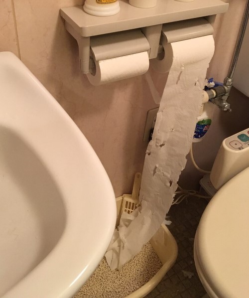 猫の「爪あと付き」スペシャルトイレットペーパー