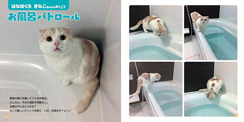 『ねこのおしごと』より