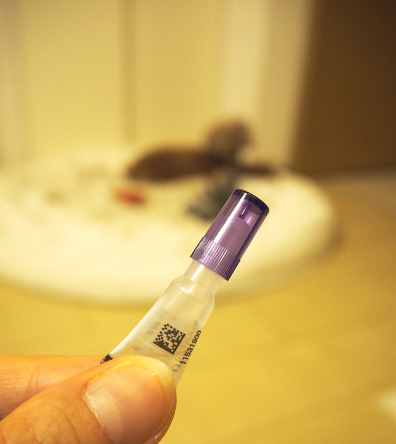 フィラリア予防薬、通称「プチュっと」。背後でおののく影が。