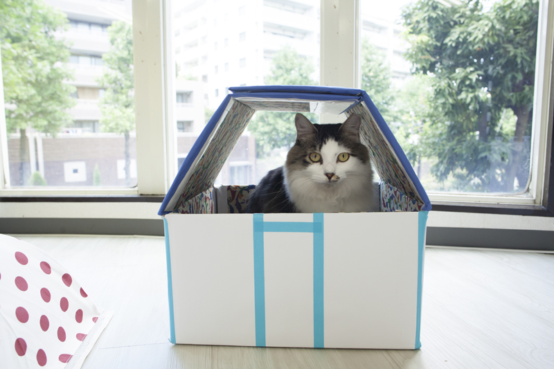 撮影:五十嵐健太