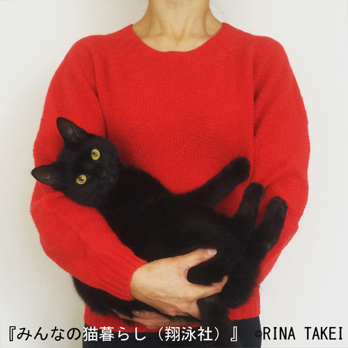 ロンドンで暮らす黒猫ギネス=Rina Takeiさん撮影(翔泳社提供)