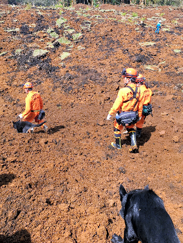土砂災害の現場で行方不明者を捜す救助犬とスタッフ=17日、熊本県南阿蘇村、和歌山災害救助犬協会提供