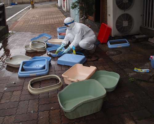 ボランティアで猫トイレを掃除する旭爪(ひのつめ)さん。この日は約300個も洗った=北九州市