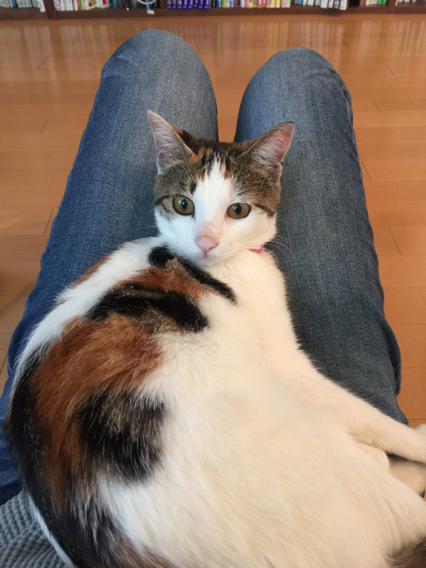 表紙の“豆ちゃん”立派に成長しました=光文社提供