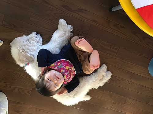 「大きなボク、小さなわたし」から