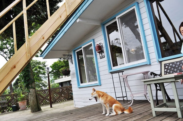 9位 伊豆高原 癒しの薫りと美肌の湯 Dog Pension R65 外観