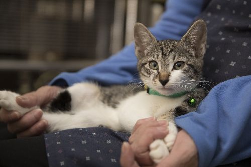 五十嵐健太 撮影