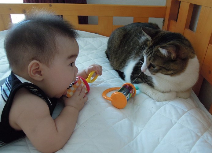 「きみ誰?」「そっちこそ誰?」