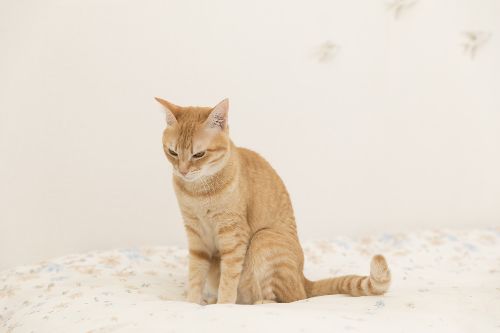 五十嵐健太撮影